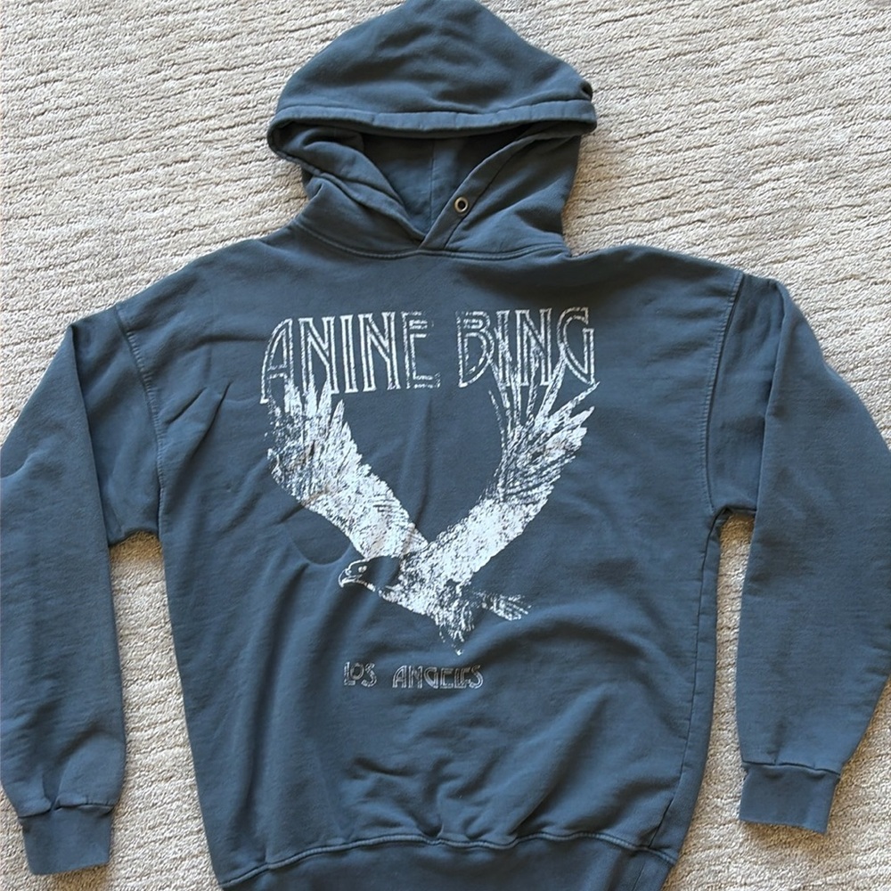Anine Bing hoodie